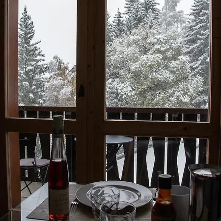 1550 - Superbe Skis Aux Pieds ! Apartamento *