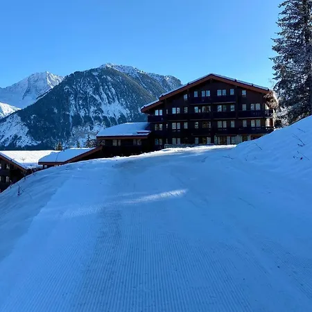 1550 - Superbe Skis Aux Pieds ! *